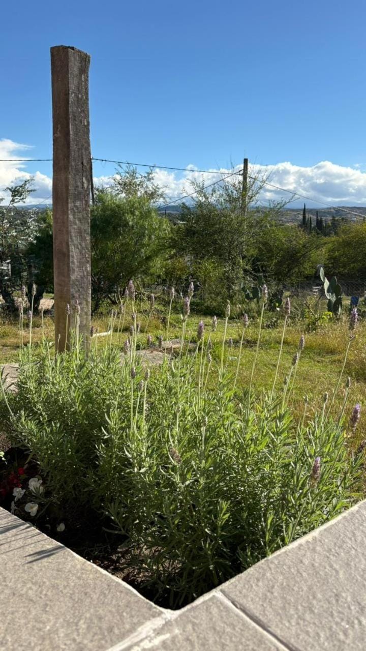 Natural landscape