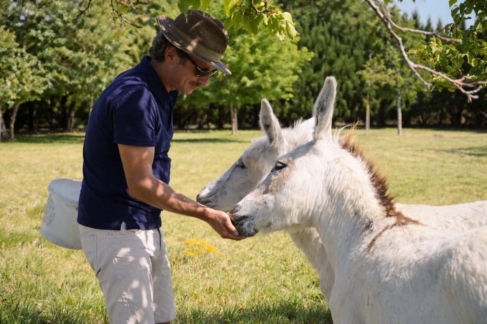 La tour Blanche Bed and Breakfast in Nouvelle-Aquitaine