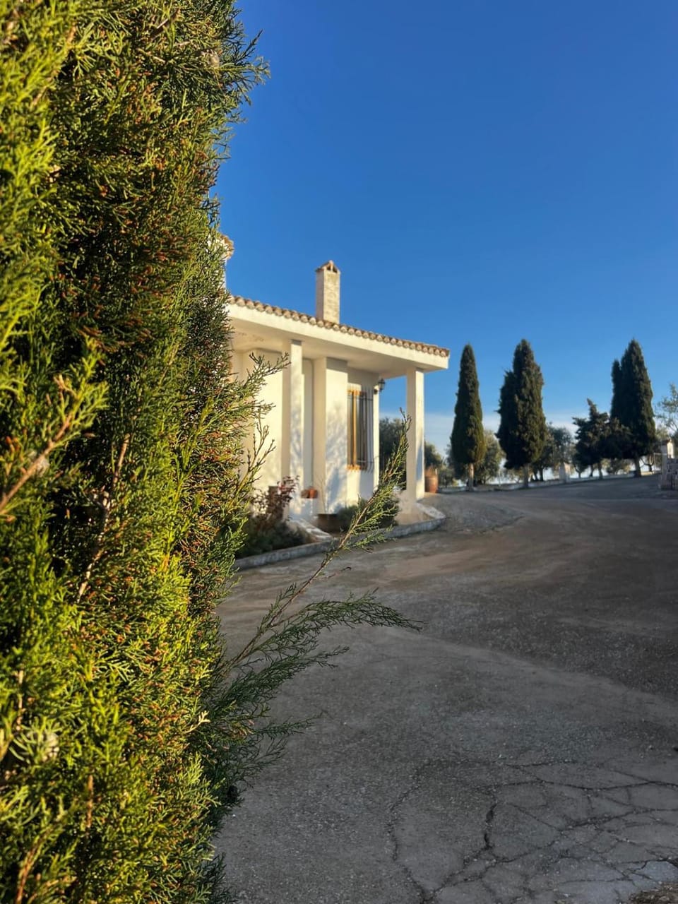 Facade/entrance, Garden