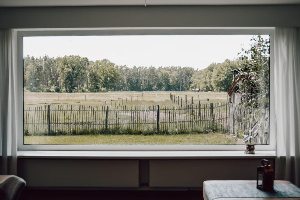 Living room, Garden view