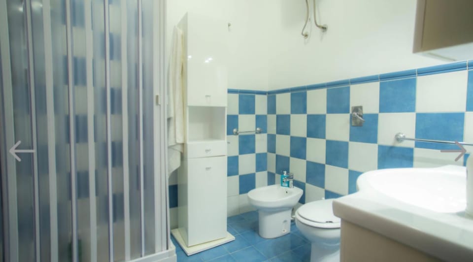 Shower, Toilet, Bathroom, bidet