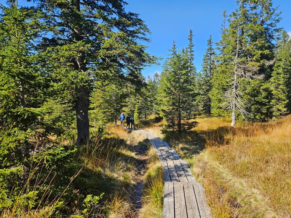 Natural landscape