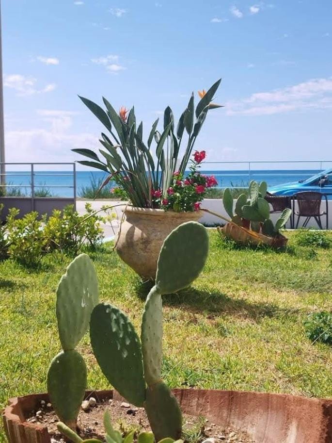 EFFIE'S VACATION by the sea House in Peloponnese, Western Greece and the Ionian