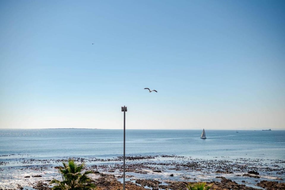 Sandringham Studio Apartment Apartment in Cape Town