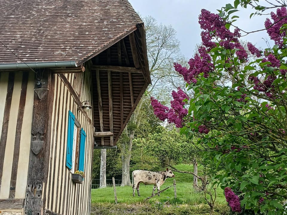 Les Prés Rousselins en Pays d'Auge Bed and Breakfast in Normandy