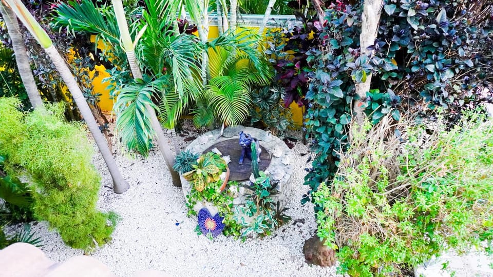 Garden view