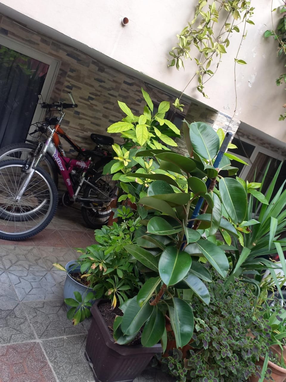 Cycling