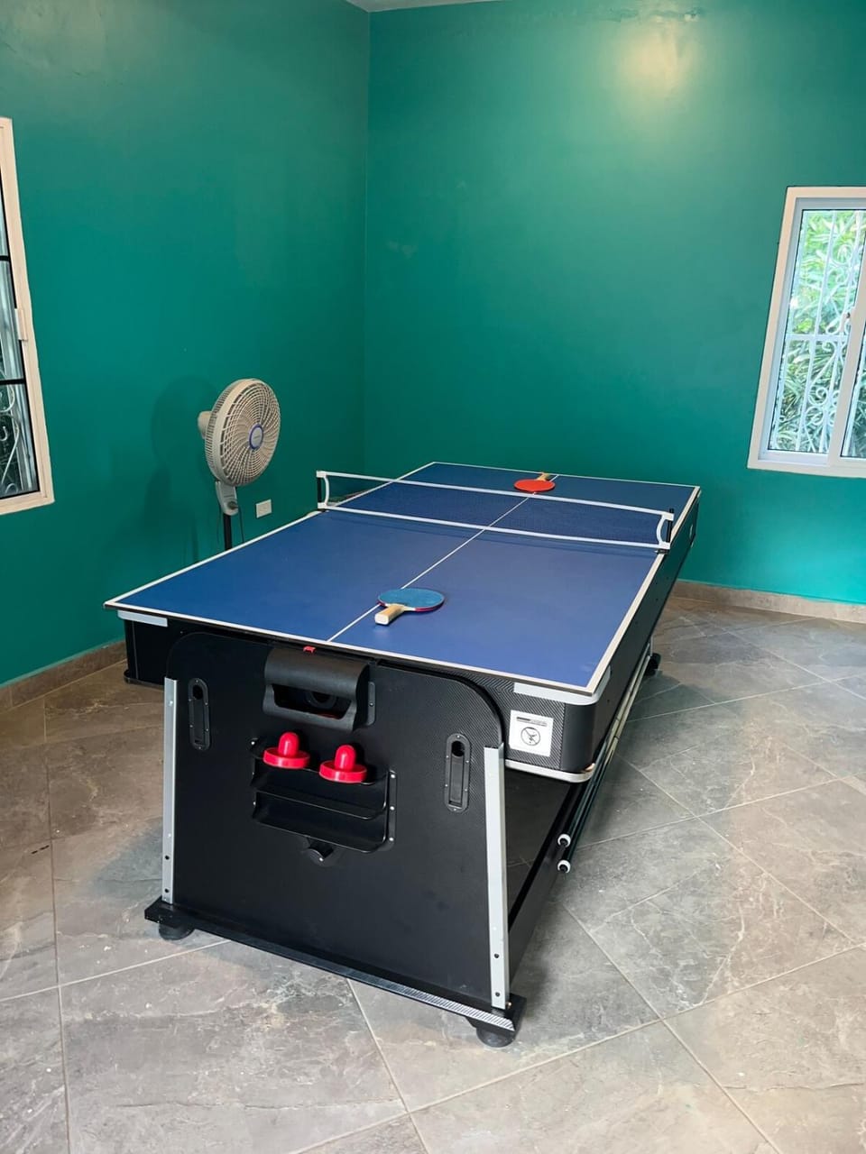 Billiard, Game Room, Table tennis