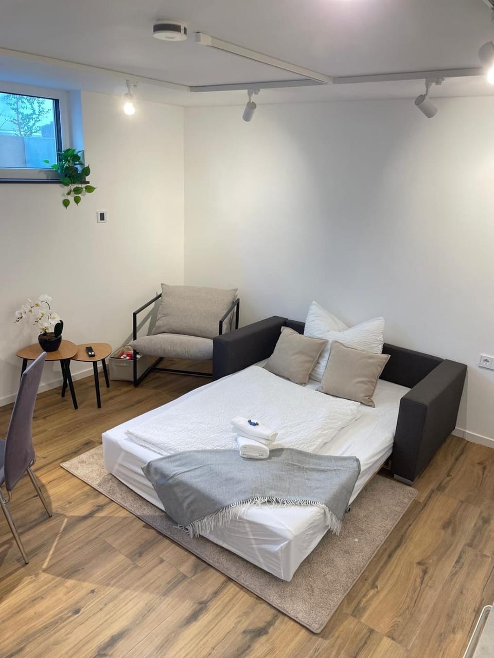 Ferienwohnung "Seeliebe" nah zur Messe und zum See Apartment in Friedrichshafen