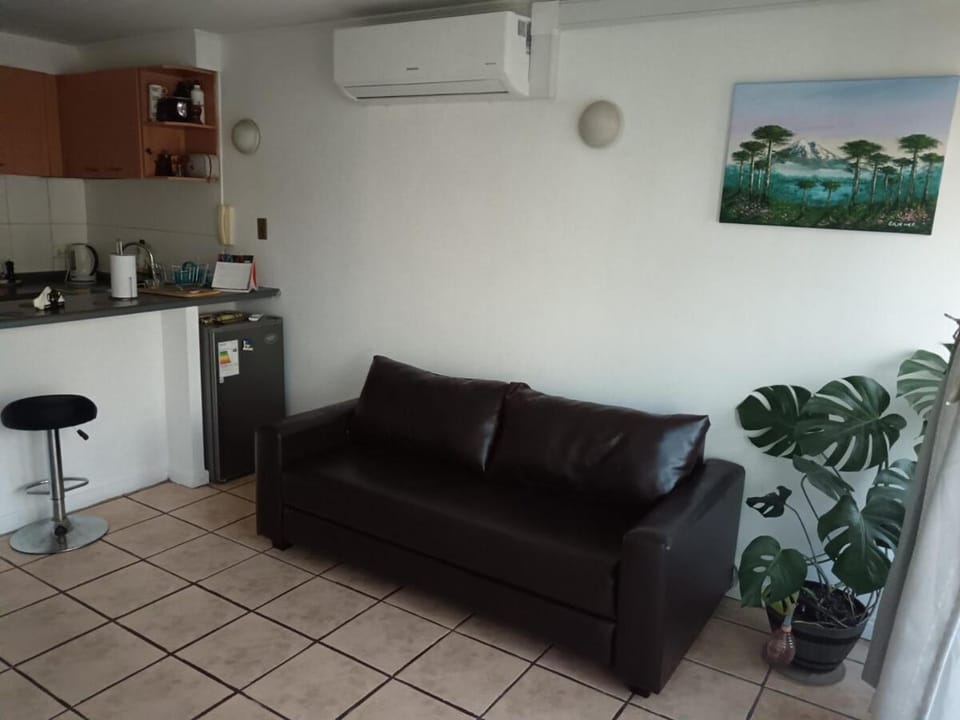 Central apartment in Santiago Apartment in Providencia