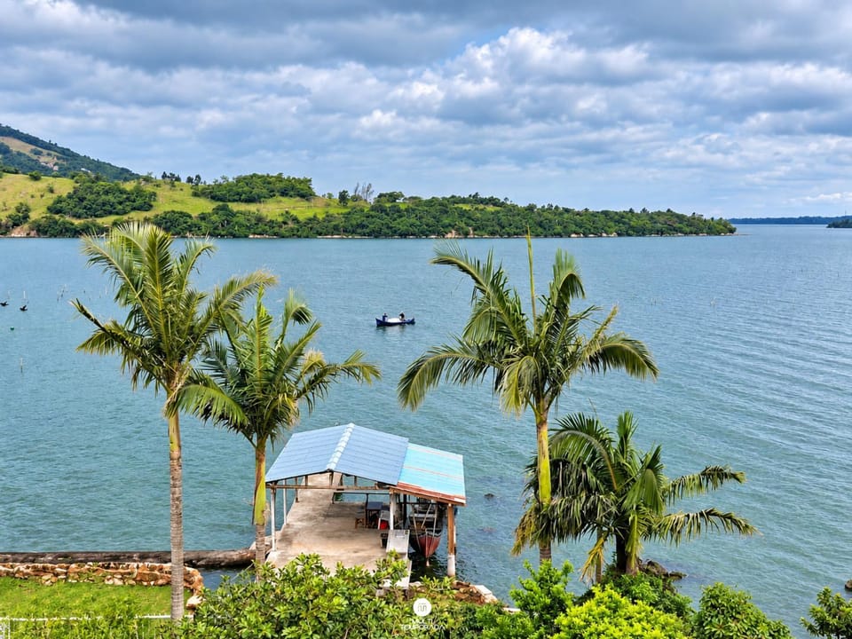 Lake view