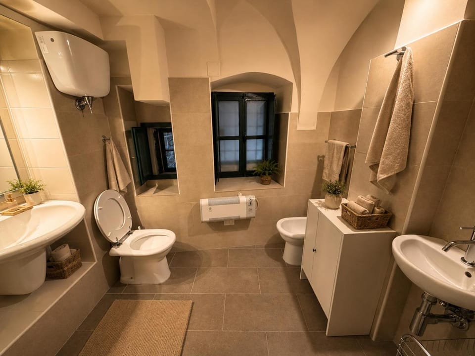 Shower, Toilet, bidet, towels