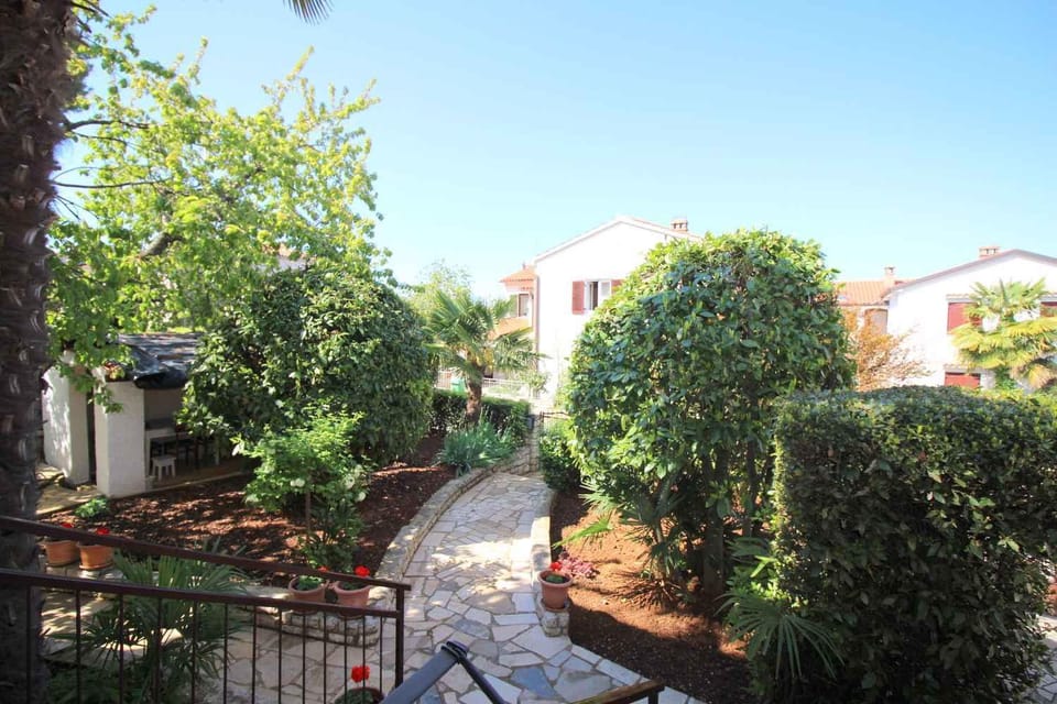 Property building, Summer, Garden