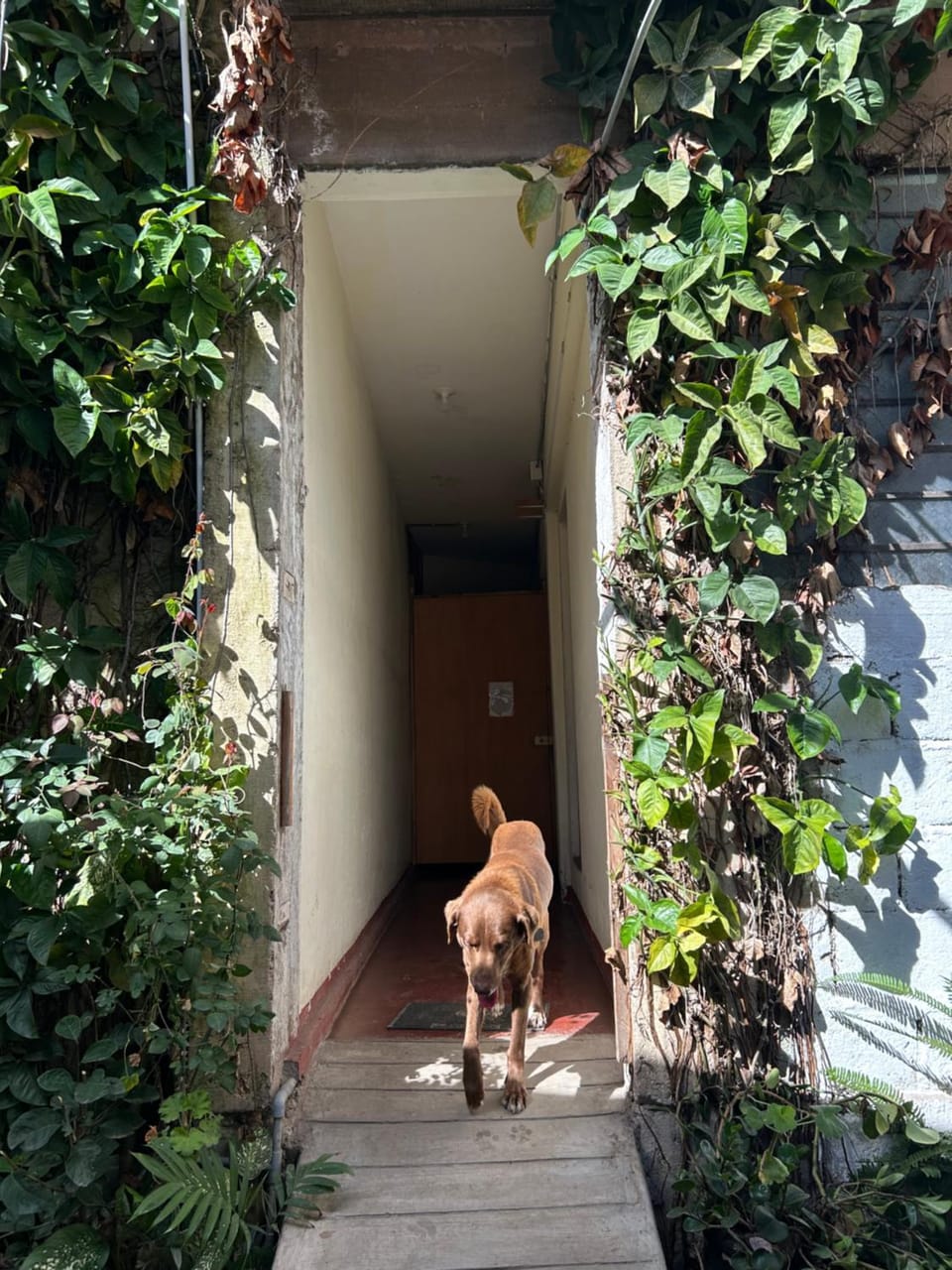 Fundó Cristina Apartment in Oxapampa