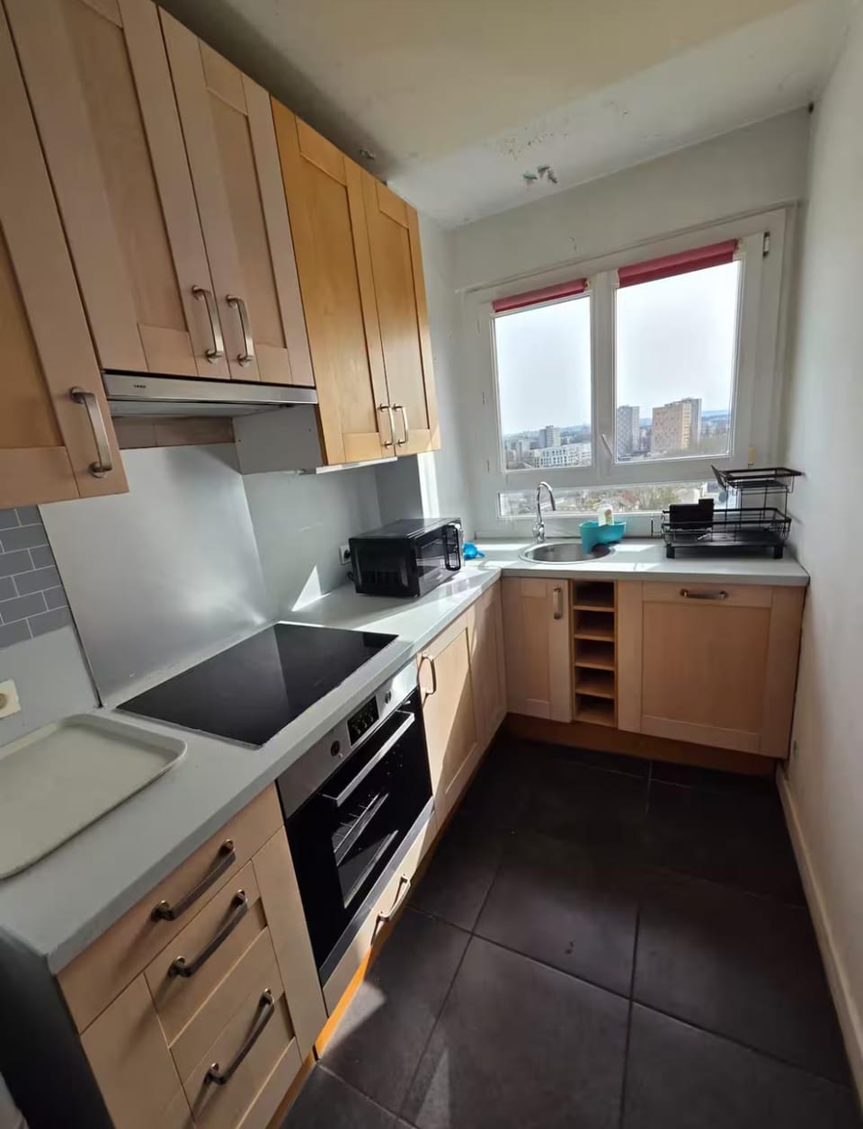 Paris-Alfortville Vacation rental in Île-de-France