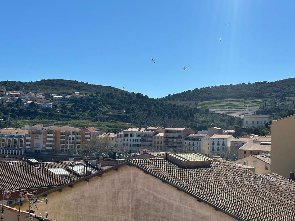 Appartement climatisé vue port - 6 pers. - FR-1-309-561 Apartment in Port-Vendres
