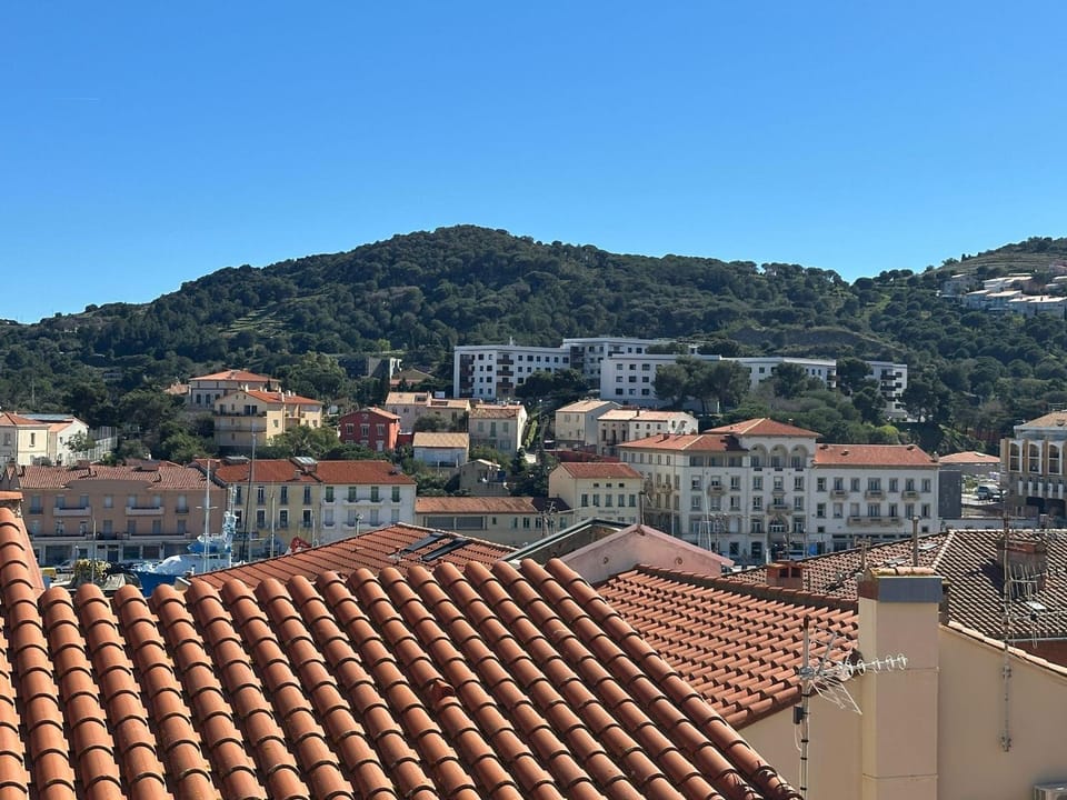 Appartement climatisé vue port - 6 pers. - FR-1-309-561 Apartment in Port-Vendres