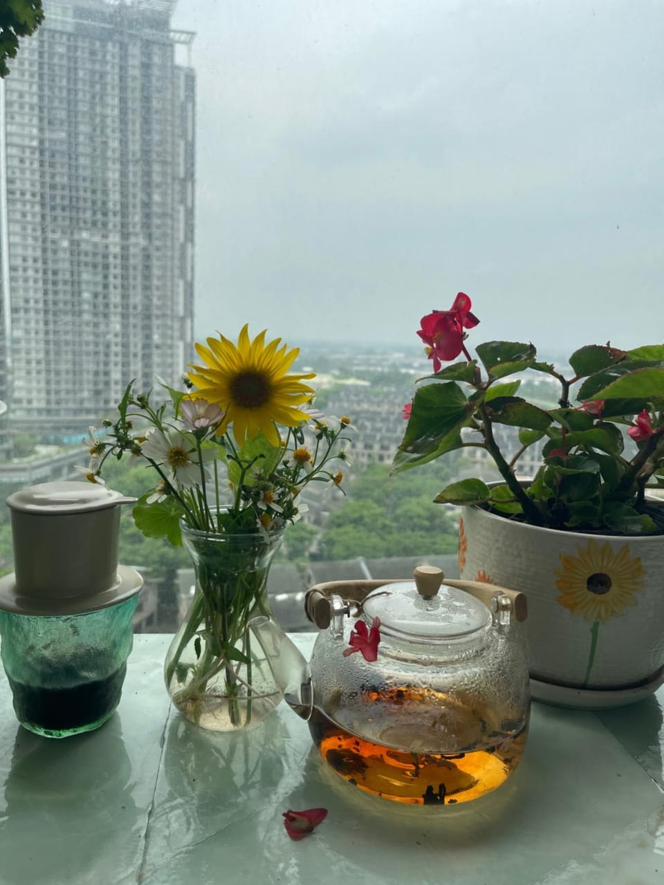 Canary Nest Solforest Ecopark Homestay Apartment in Vietnam