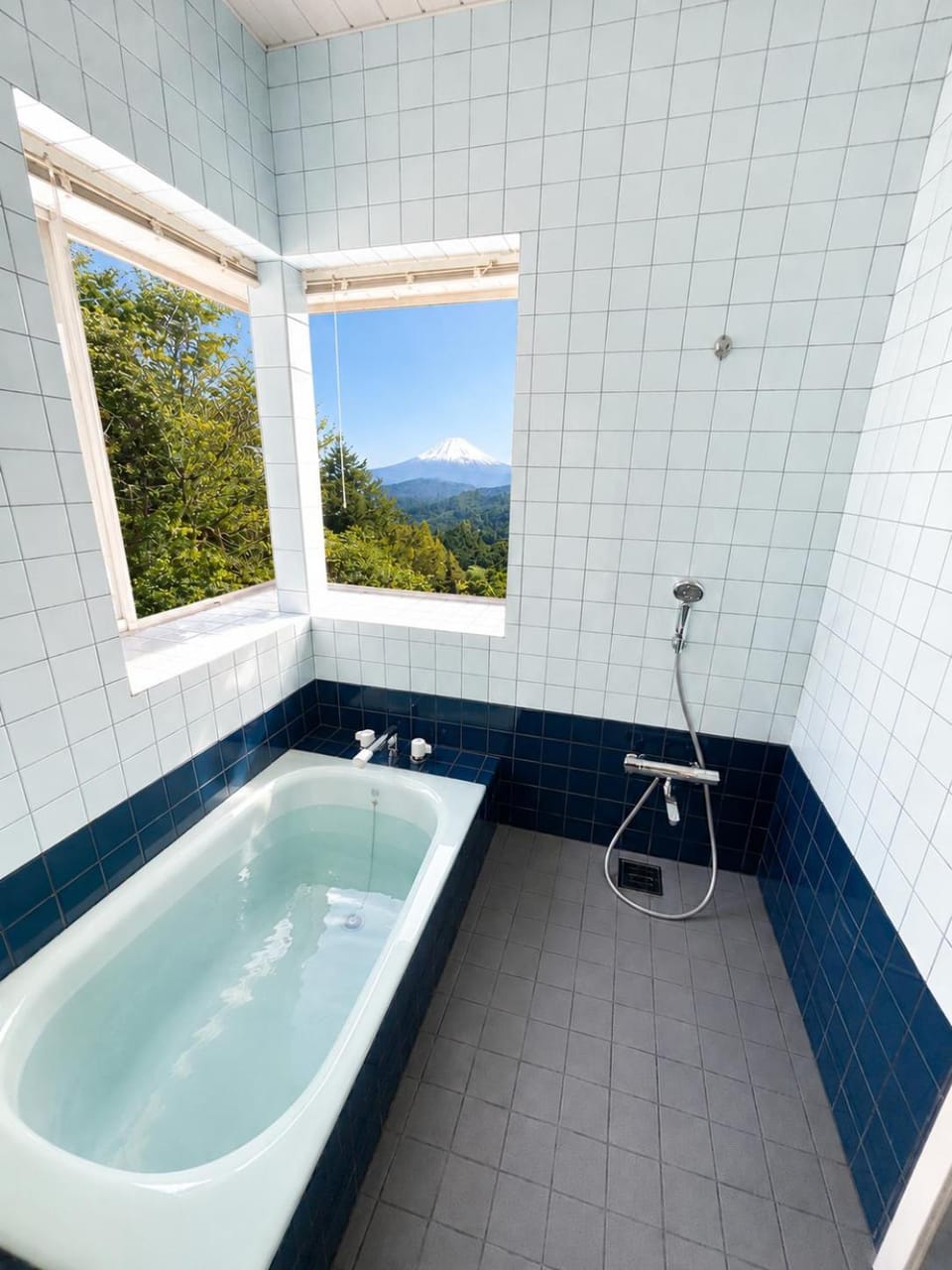 Fuji Nest Izu Apartment in Shizuoka Prefecture