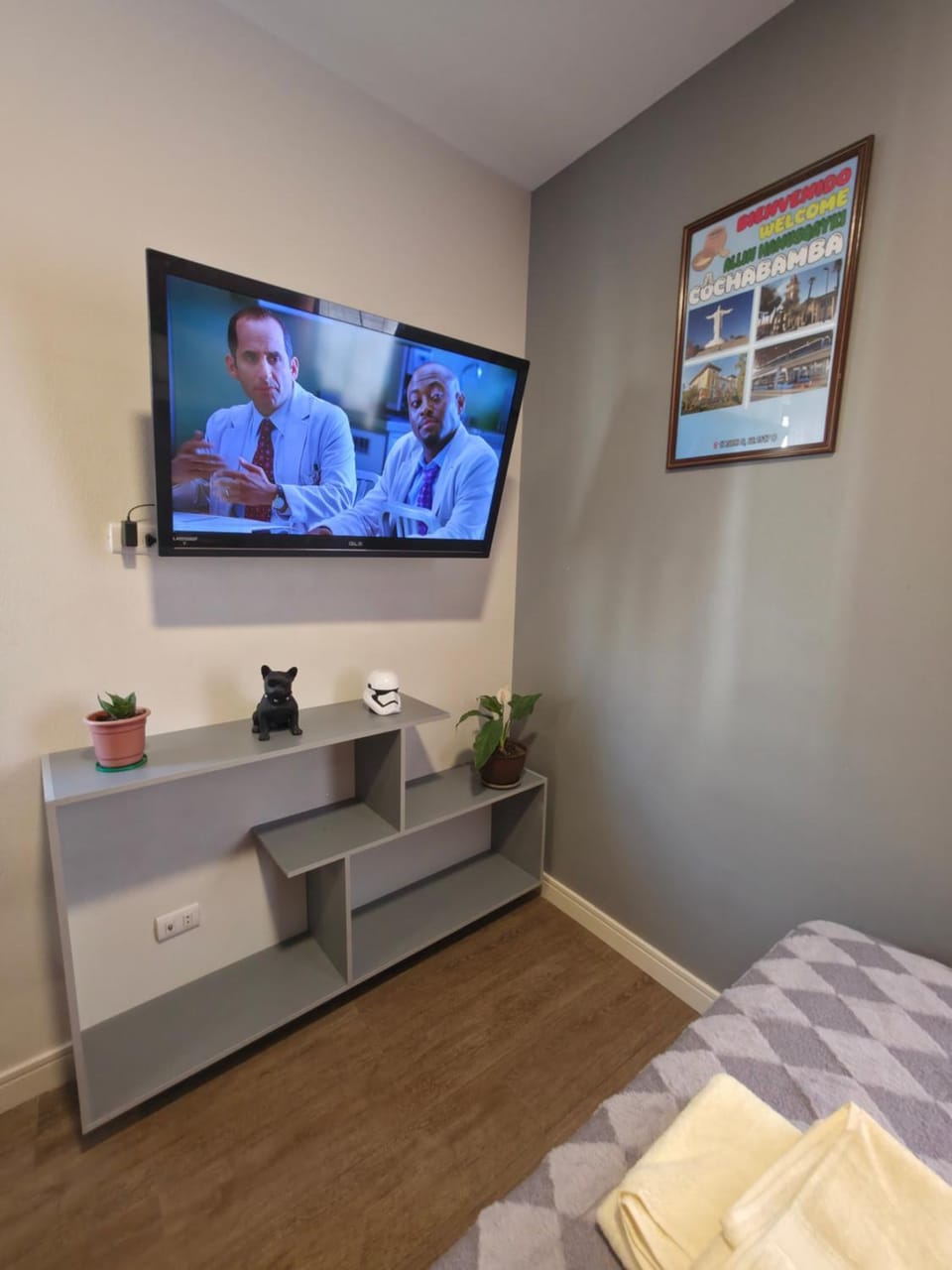 TV and multimedia