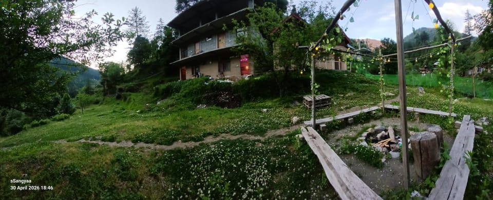 Garden view