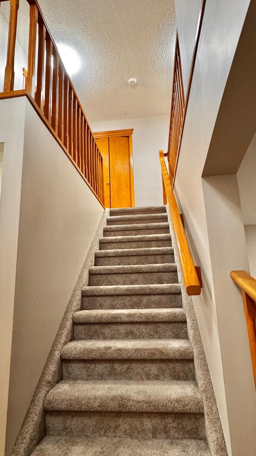 Belle-Rive - family friendly Guest House House in Edmonton