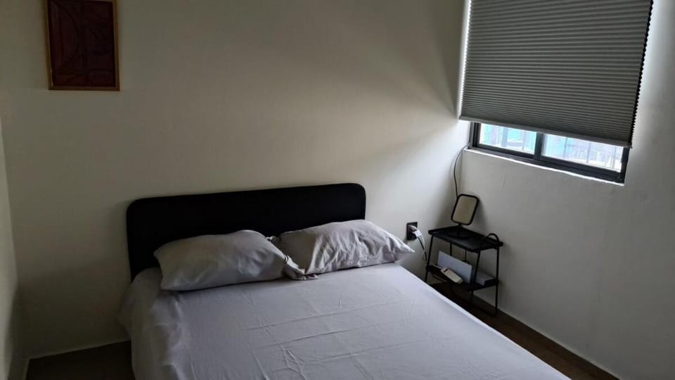 CDMX Metro Apartment- Hidden Gem Apartment in Mexico City