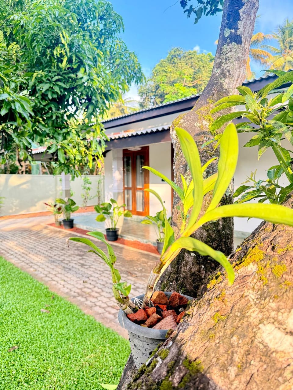 Property building, Day, Garden