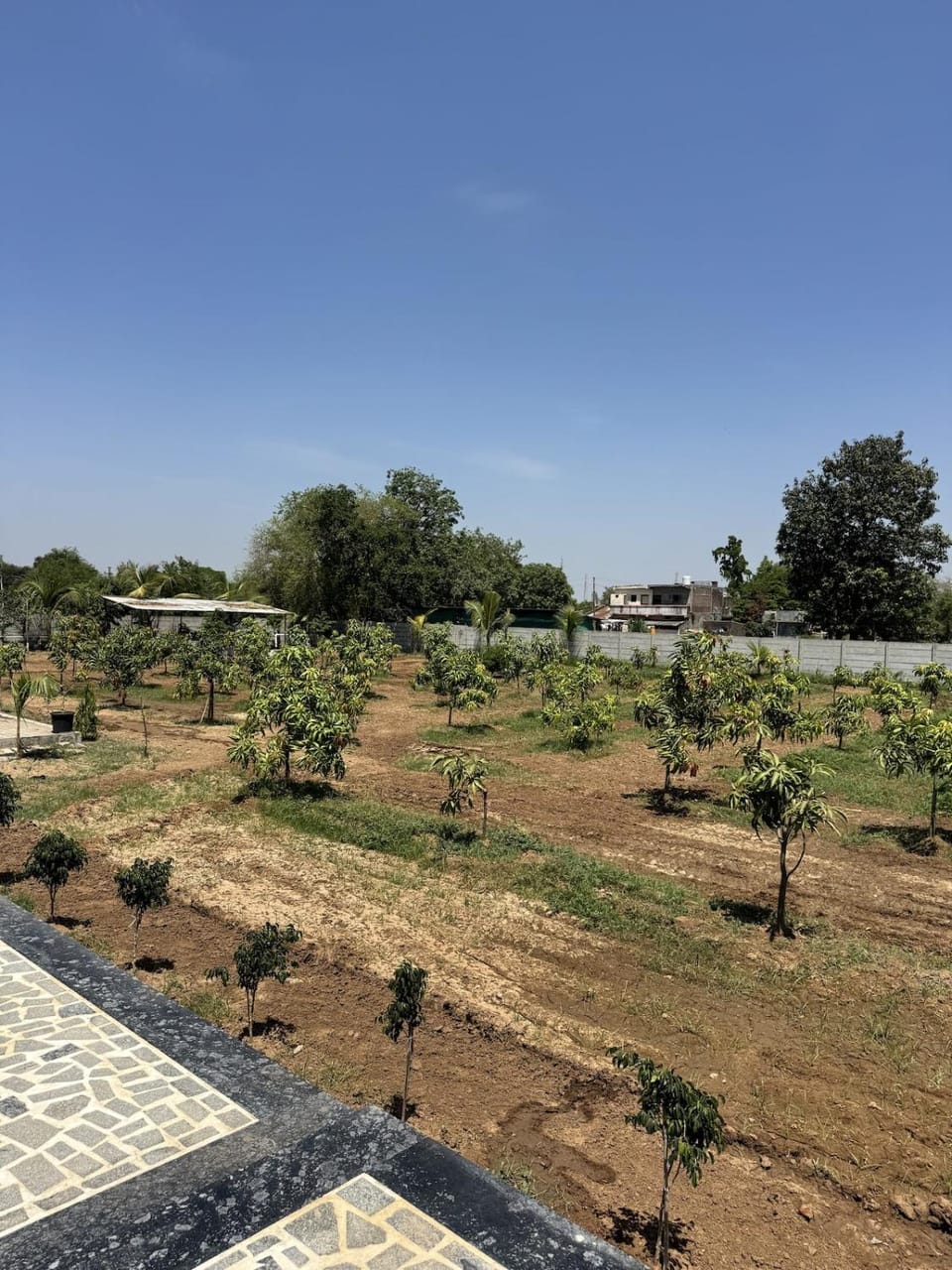Private Nature Escape Premium Farm Stay Villa in Gujarat