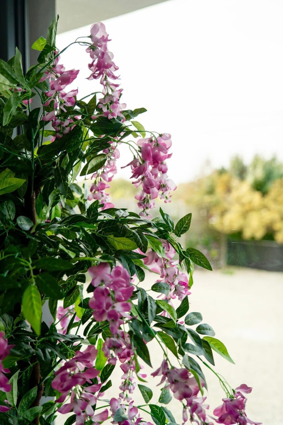 Luxury Large Modern Beach House with Sea Views House in Croyde