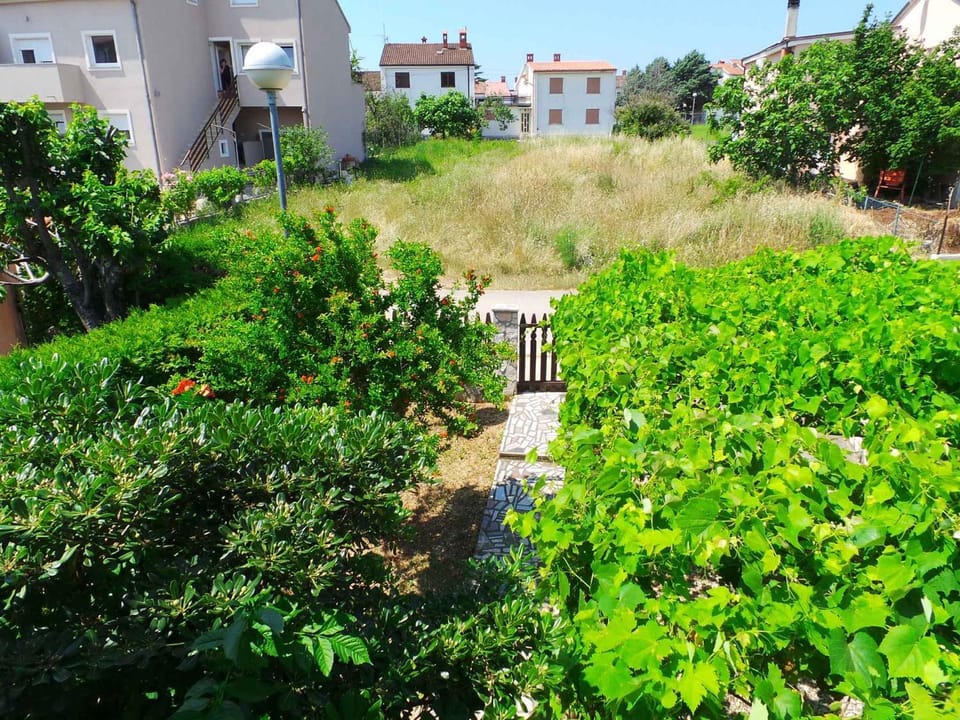Summer, Garden