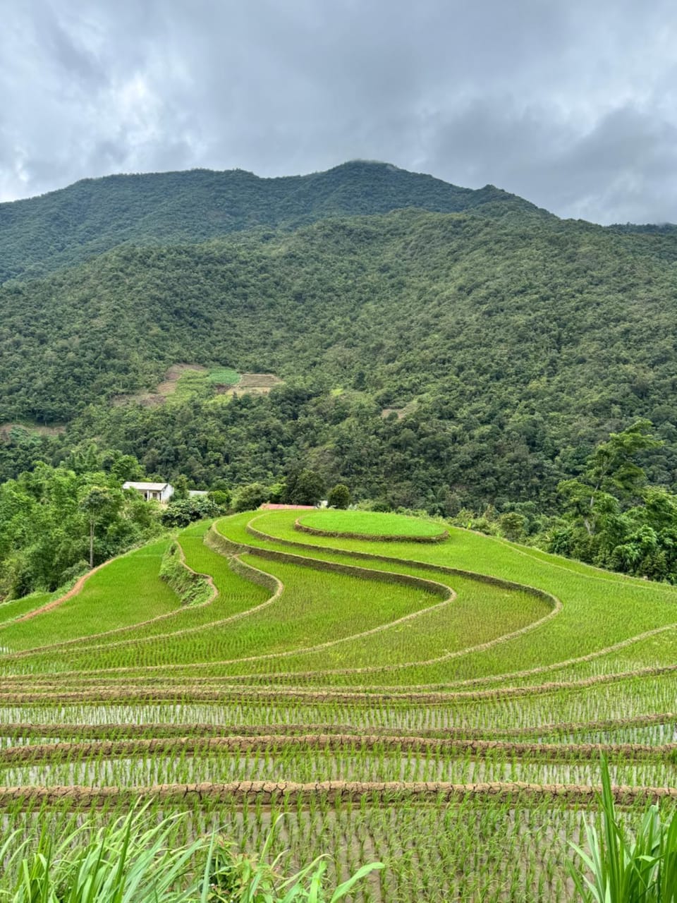Mountain view
