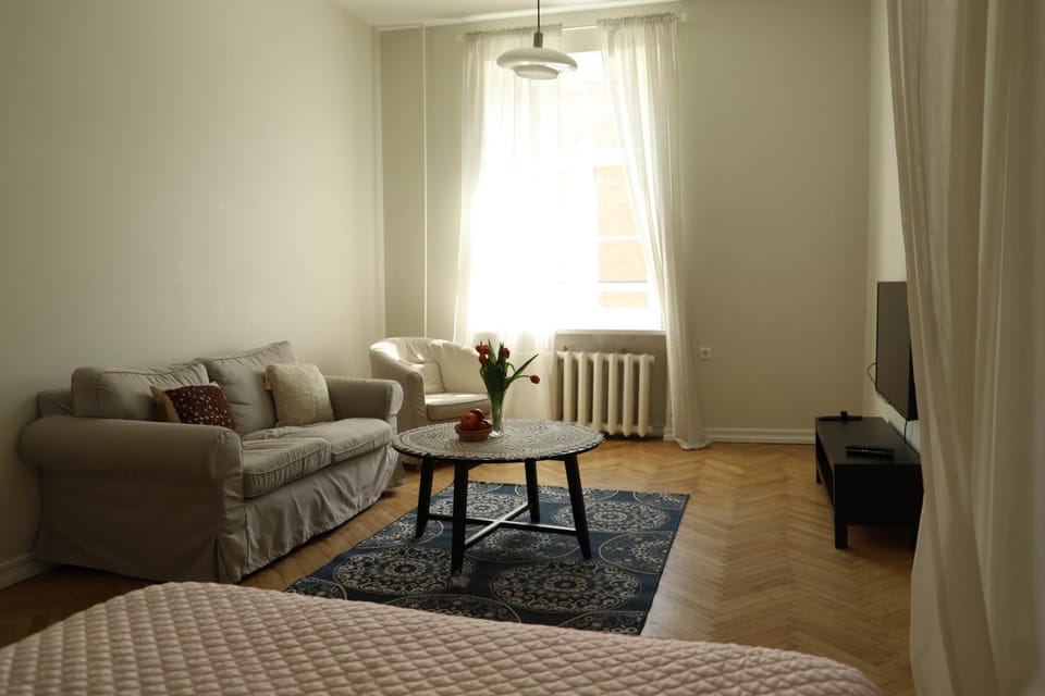 Bright and Cozy Apartment for two, Vilnius city center Apartment in Vilnius