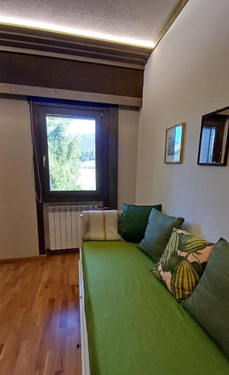 Natural landscape, Living room, Time of day