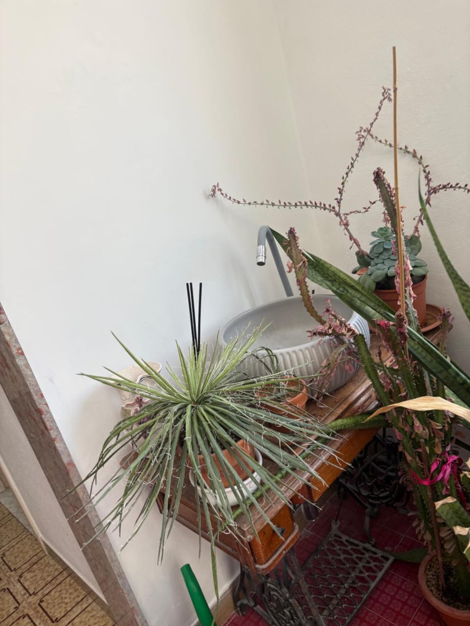Leti luxury Apartment in Bologna
