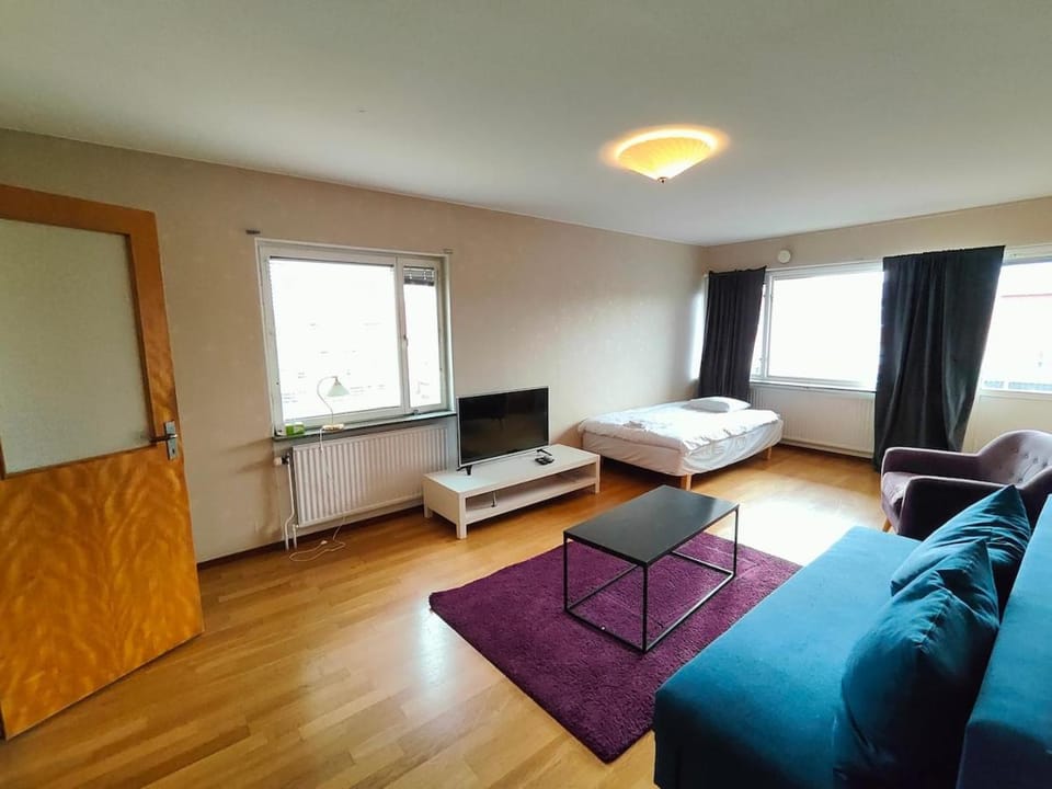 Big 3 bedroom apartment with 4 beds Apartment in Sweden
