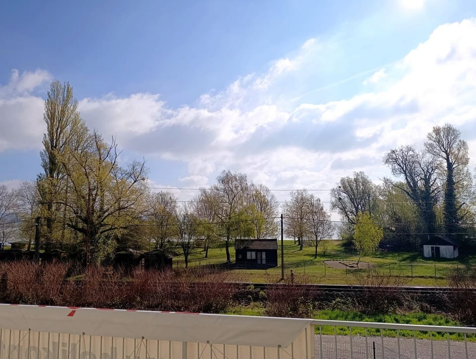 Lake view