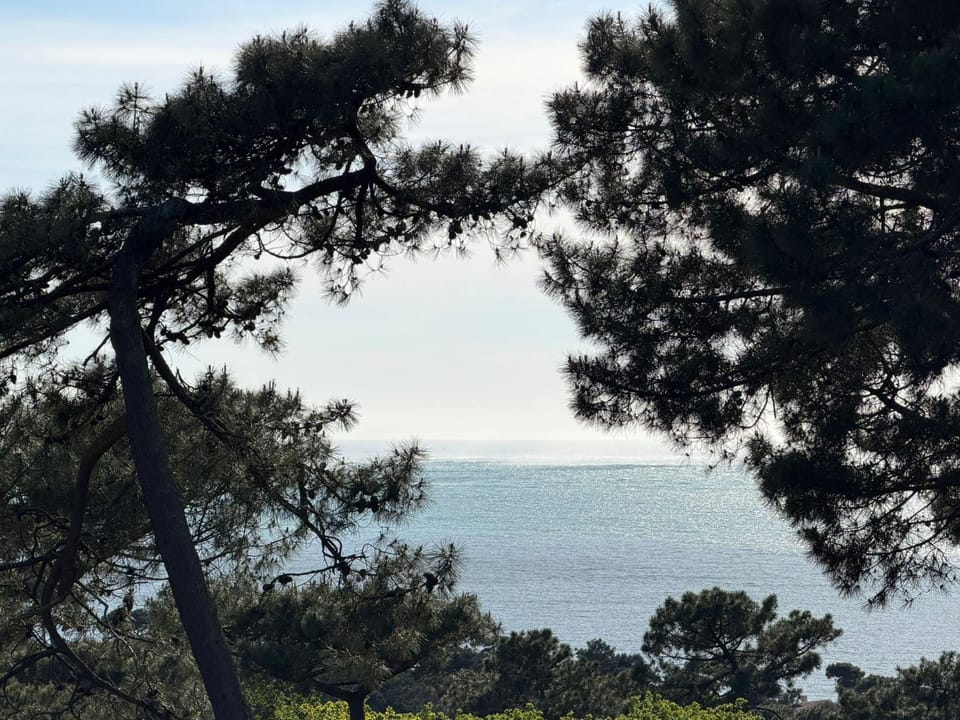 Sea view