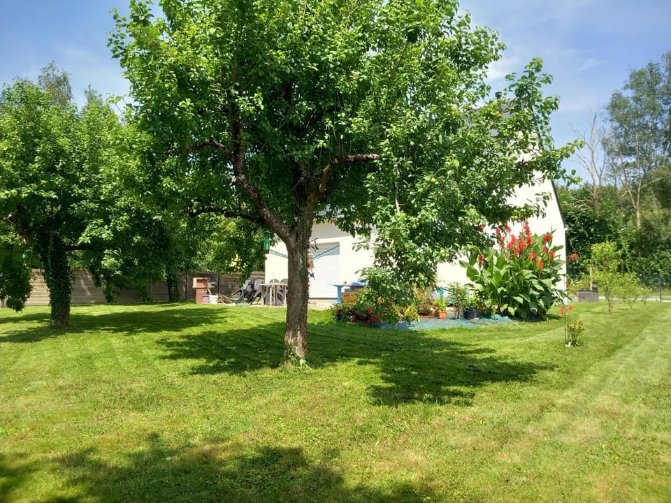 Garden, Garden