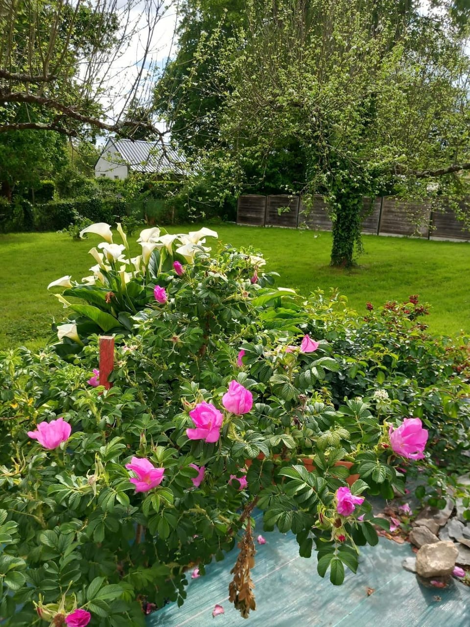 Garden, Garden