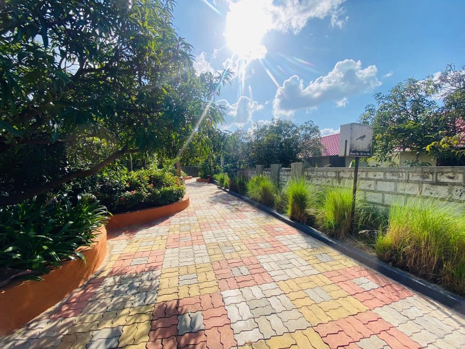 Day, Natural landscape, Garden, Garden view