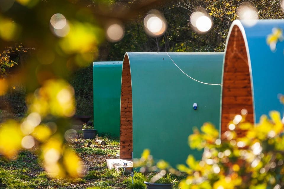Daisy Campground/ 
RV Resort in Rother District