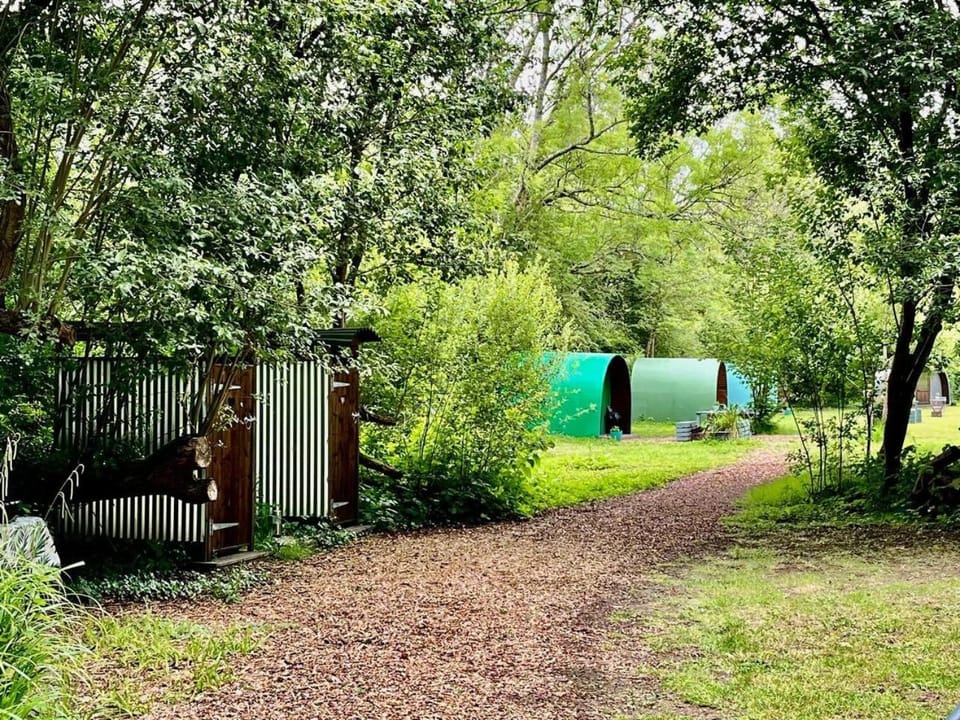 Daisy Campground/ 
RV Resort in Rother District