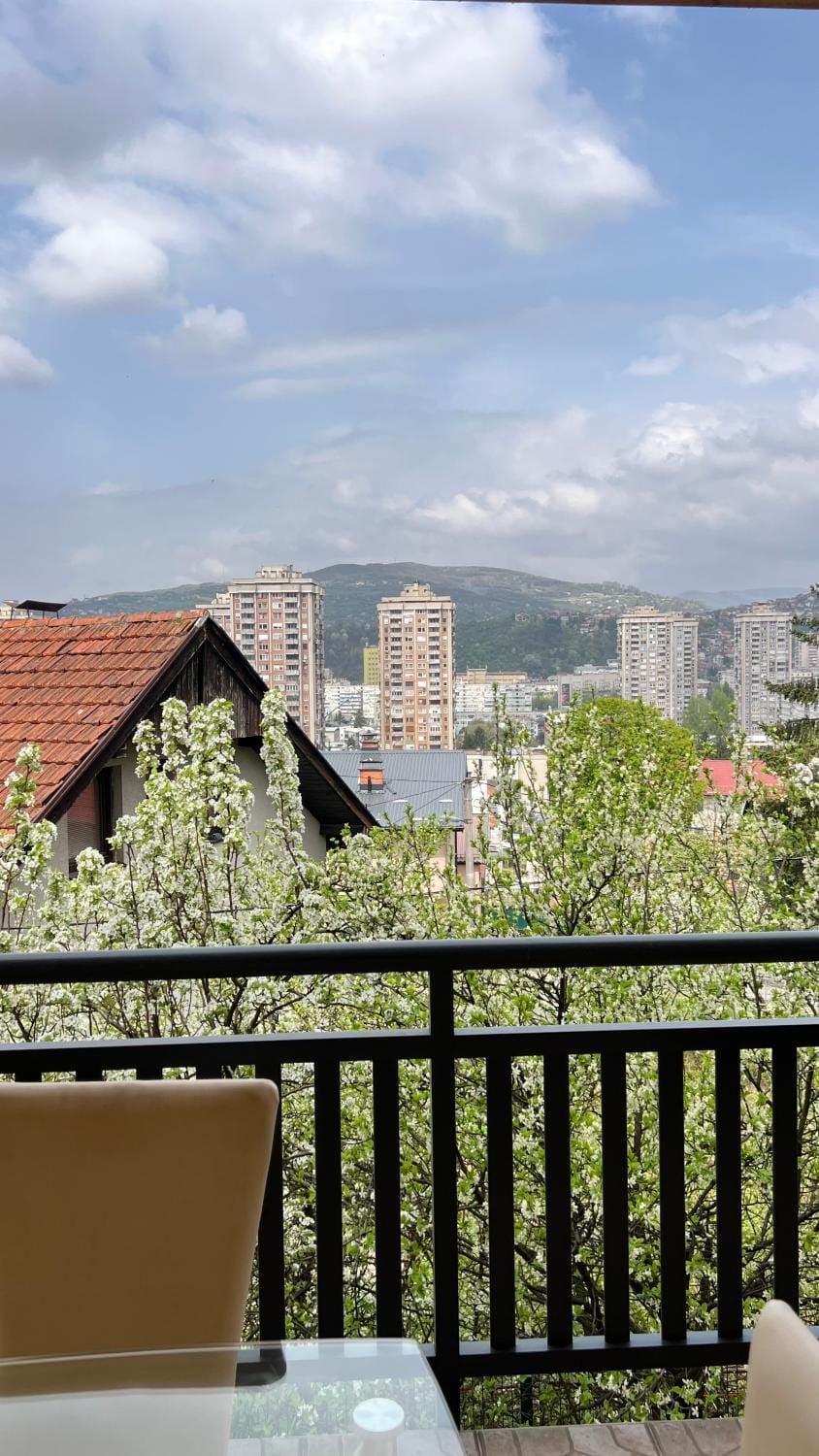 View (from property/room), Balcony/Terrace, City view, Garden view