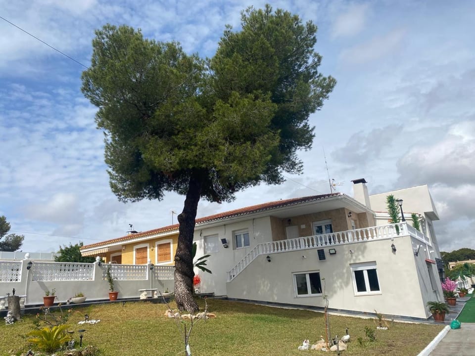 Villa Hakim Villa in Vega Baja del Segura