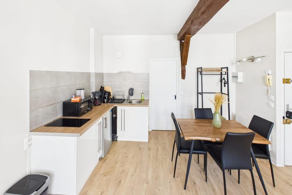 Le Loft Boucherat Apartment in Troyes