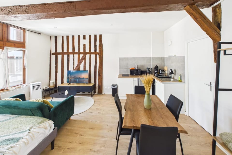 Le Loft Boucherat Apartment in Troyes