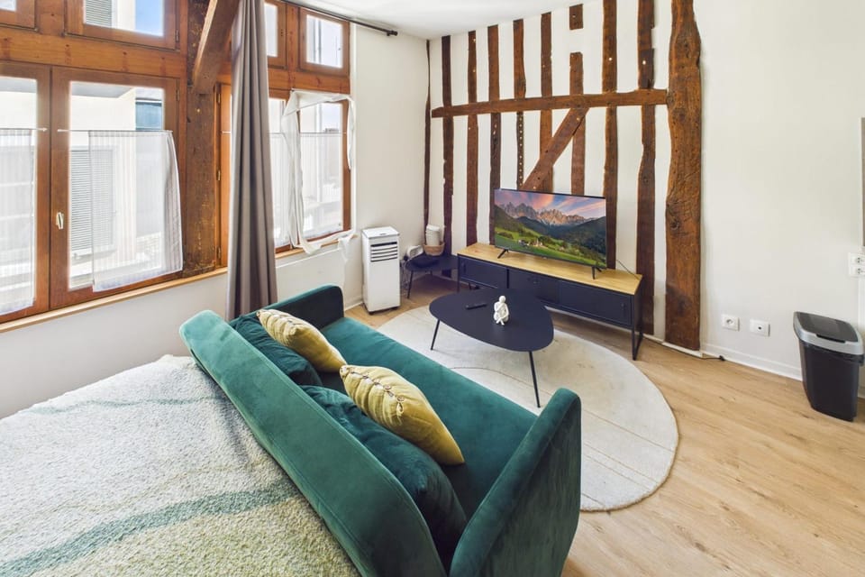 Le Loft Boucherat Apartment in Troyes