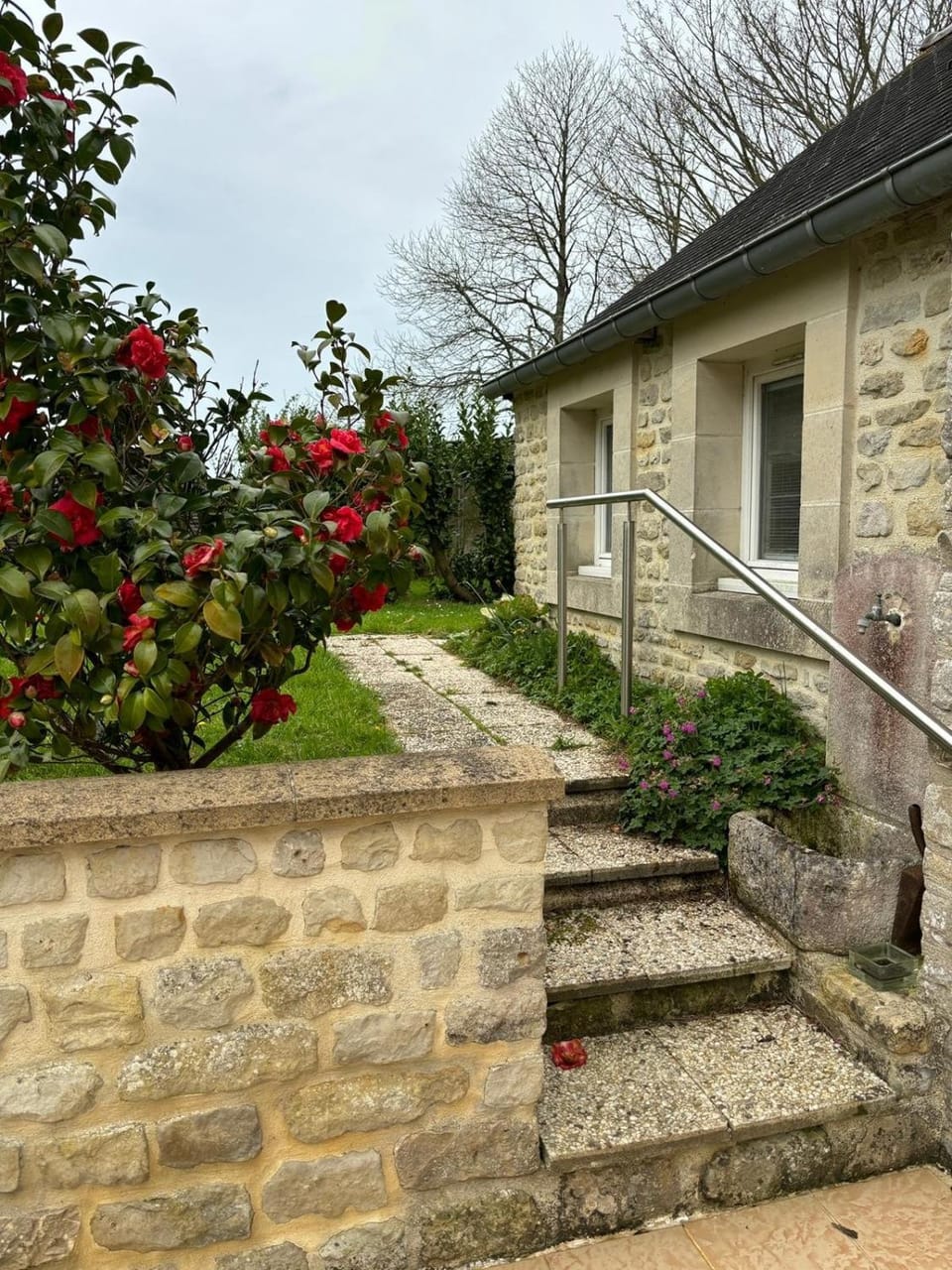 Property building, Day, Garden
