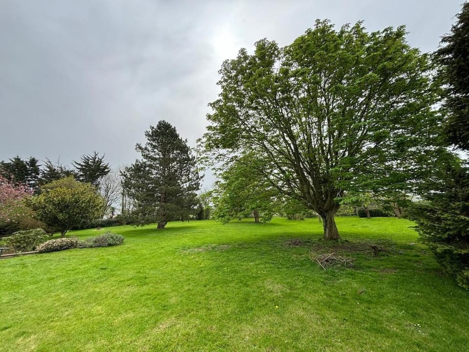 Natural landscape, Garden, Garden view